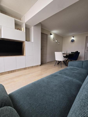 Beautiful and spacious apartment in Barranco